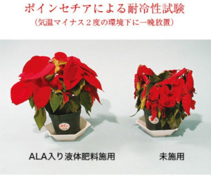 �A���v���X �R���Z���g���[�g�Z�����ɂ���