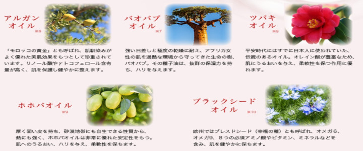 �A���v���X �R���Z���g���[�g�Z�����ɂ���