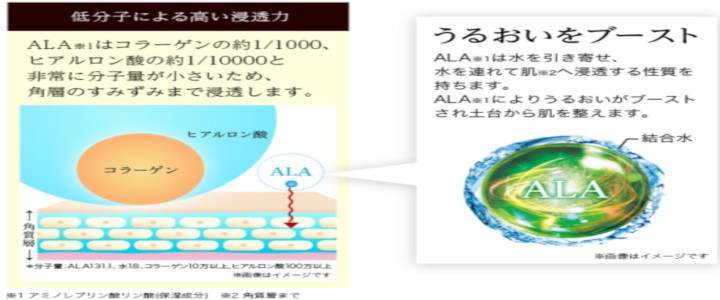 �A���v���X �R���Z���g���[�g�Z�����ɂ���